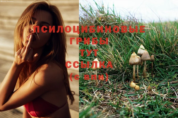 марки nbome Навашино