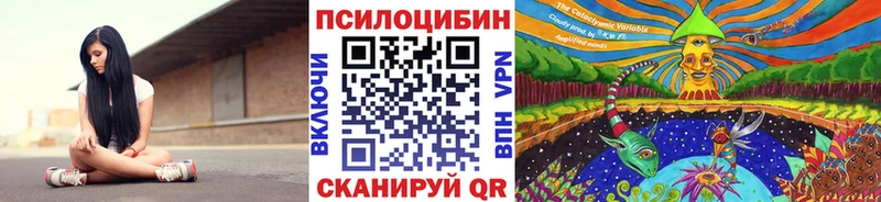 где купить Лосино-Петровский Псилоцибиновые грибы Psilocybe