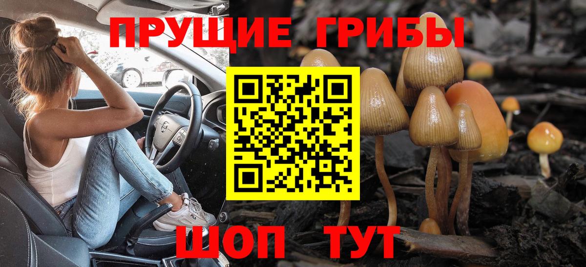 Галлюциногенные грибы мухоморы  Лосино-Петровский 