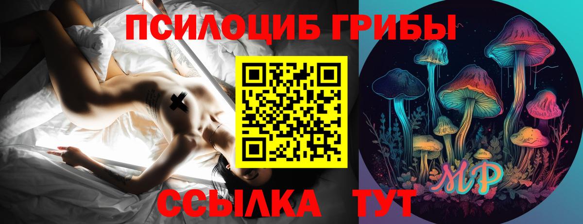 Псилоцибиновые грибы Psilocybine cubensis Лосино-Петровский